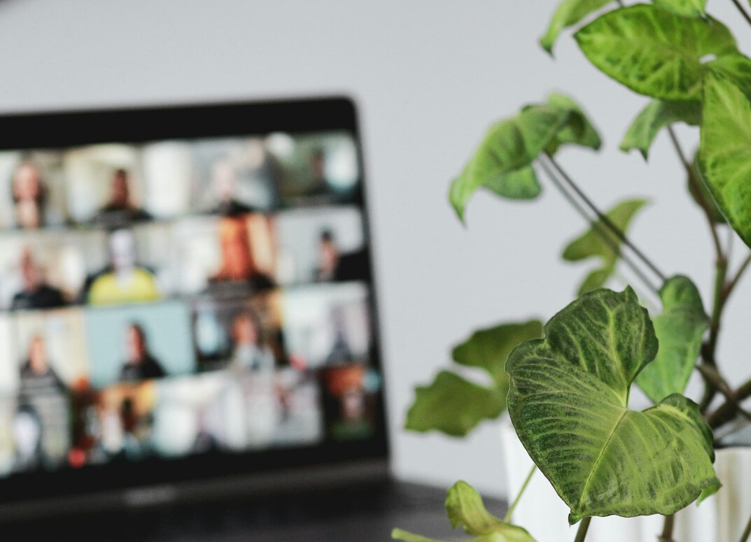 remote team video call